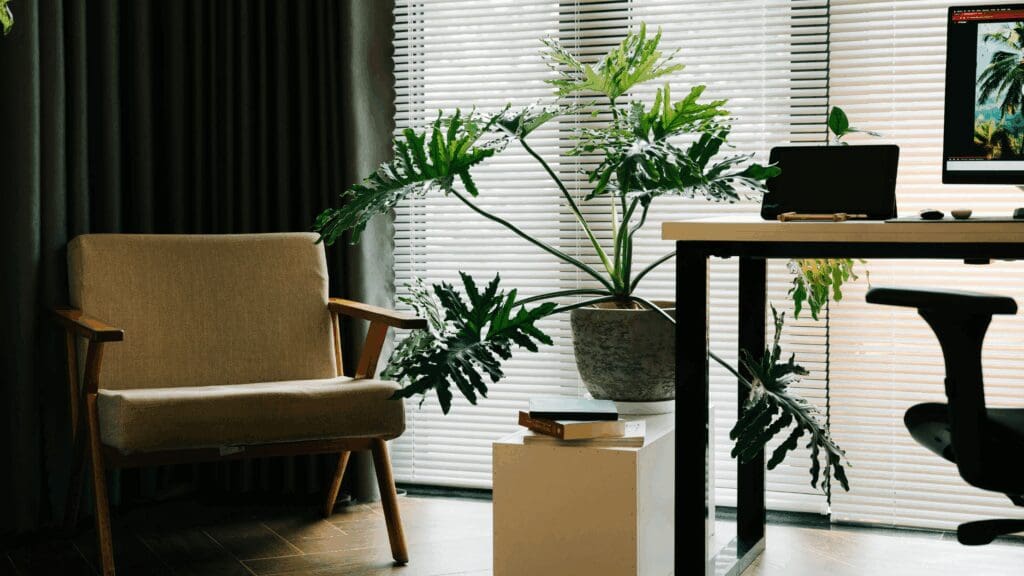 Office space with empty desk and chair, solo couch, and plant in between, representing leadership reflection and strategic growth.